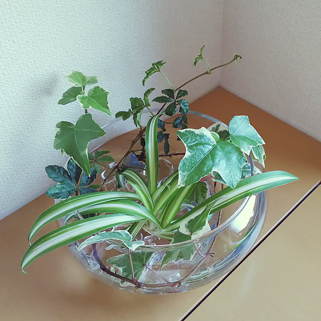 akiwaka-roomさんの実例写真
