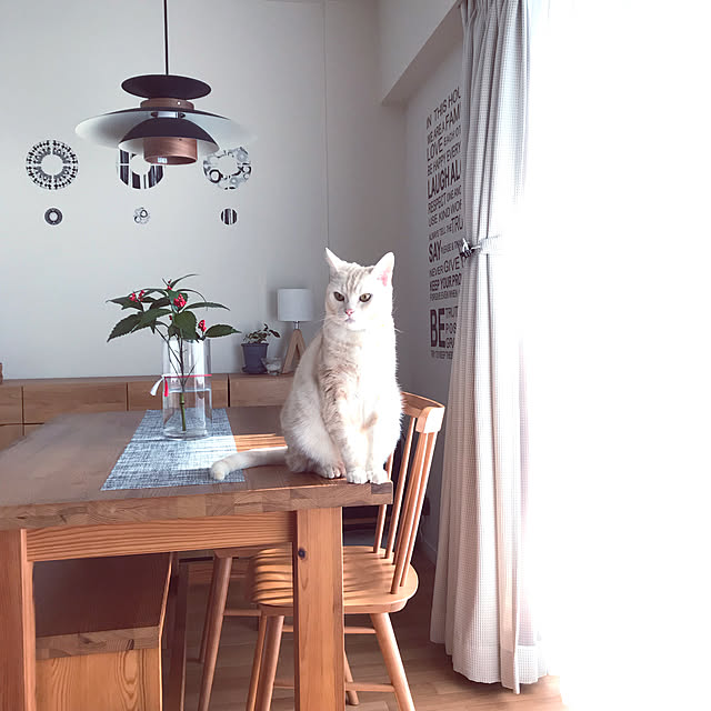 hiyupan88さんの実例写真