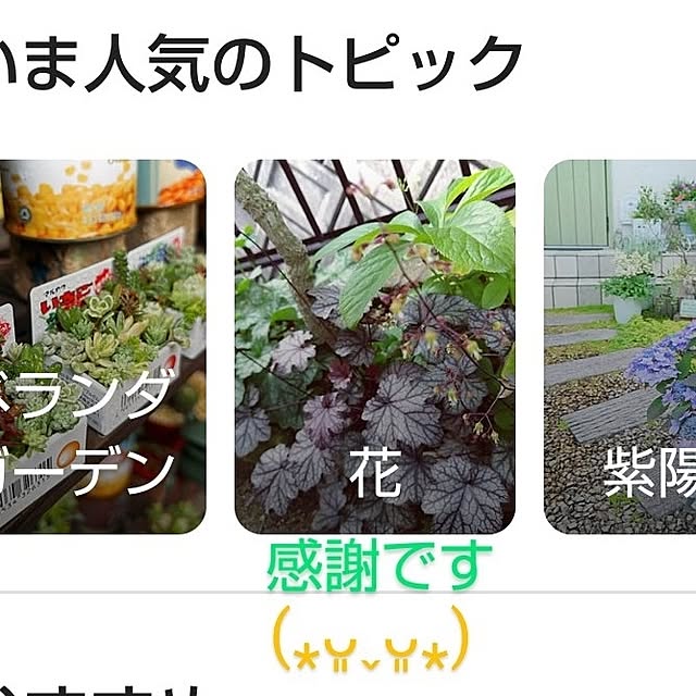 katさんの部屋