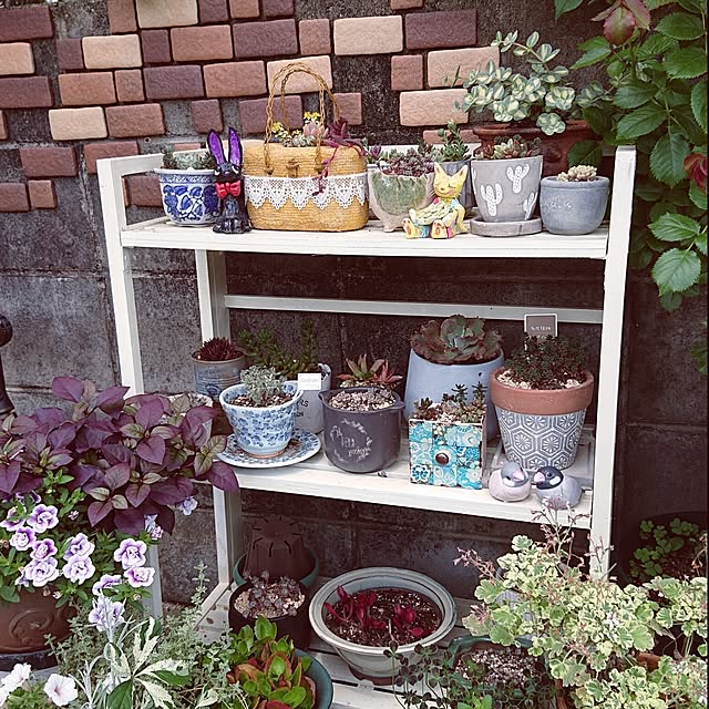 taeko0779さんの部屋