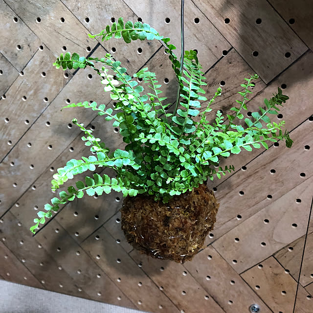 CoffeeHouseさんの部屋