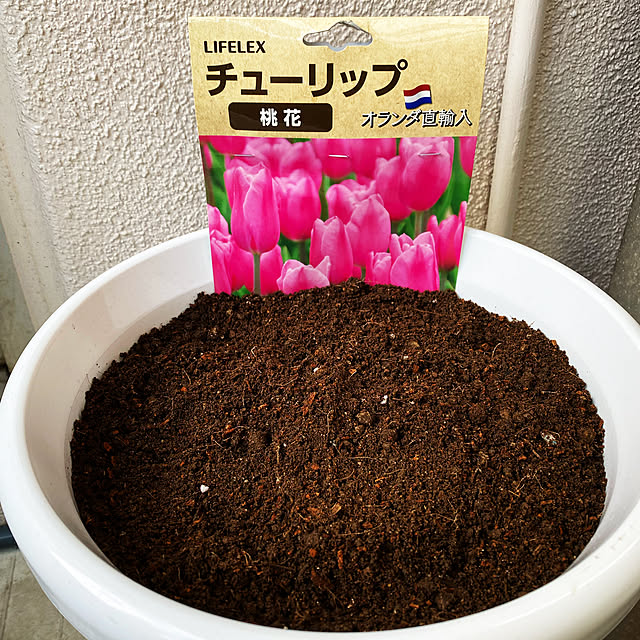 Nyaさんの実例写真