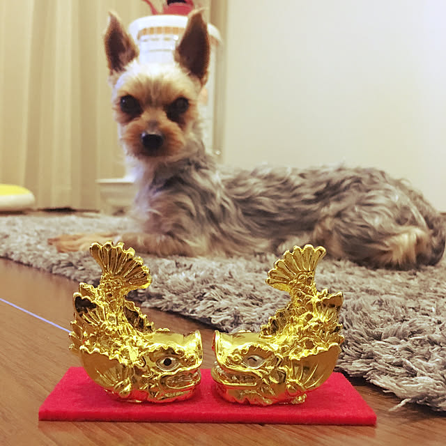 yuminnieさんの実例写真