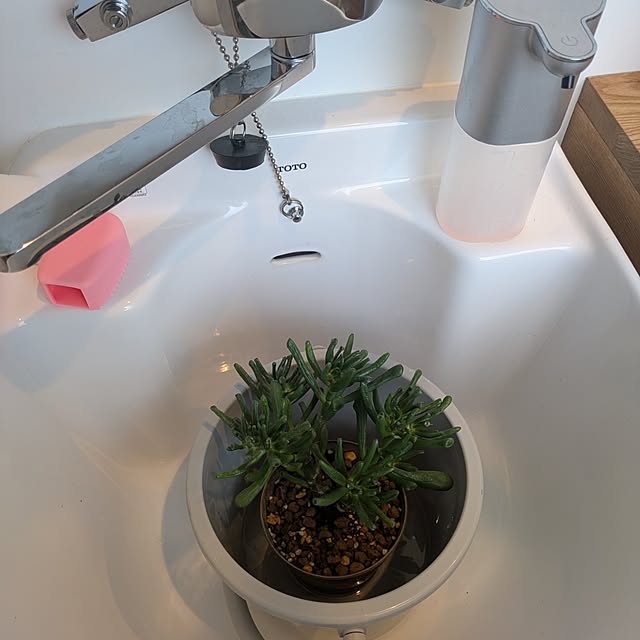 omosayabokoさんの部屋