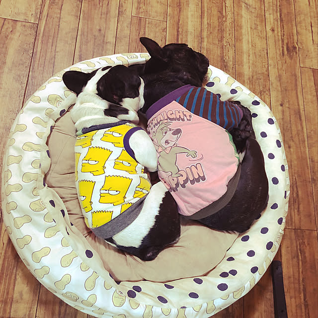 chicoさんの実例写真