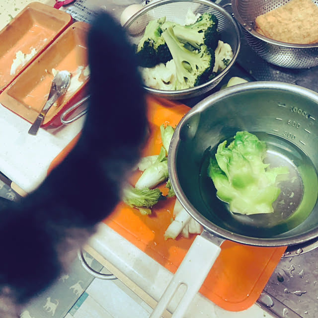jijiさんの実例写真