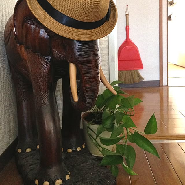 Makotoさんの実例写真