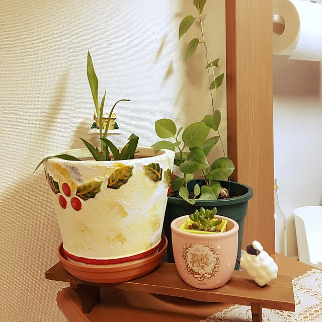Ivyさんの実例写真