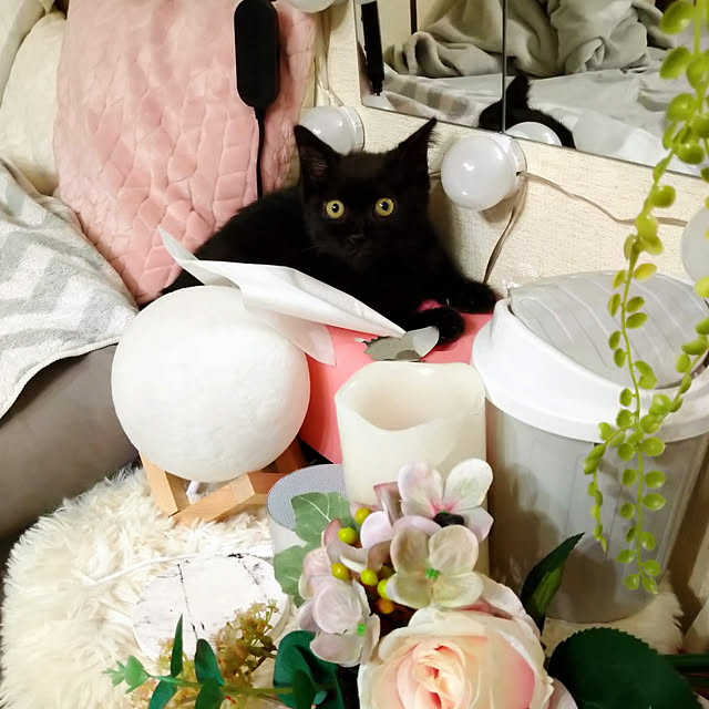 Tさんの実例写真