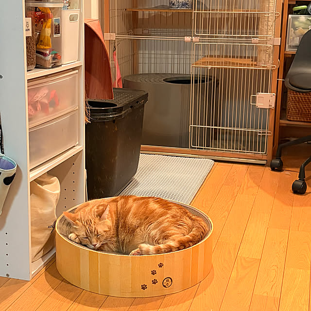 okogeさんの実例写真