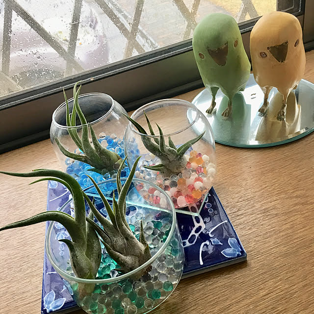 実例写真
