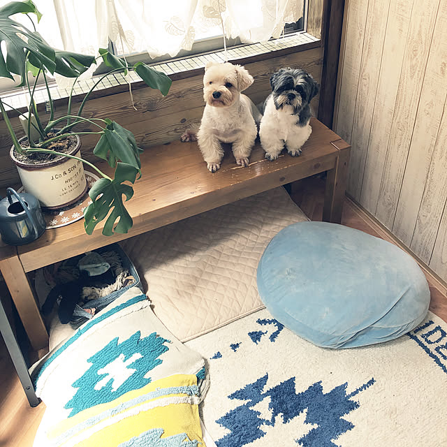 tenmaruさんの実例写真