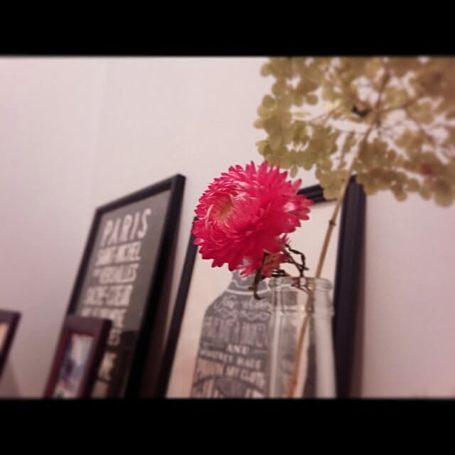coKoさんの実例写真