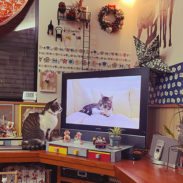 jijiさんの実例写真