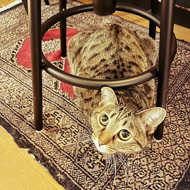Mさんの実例写真