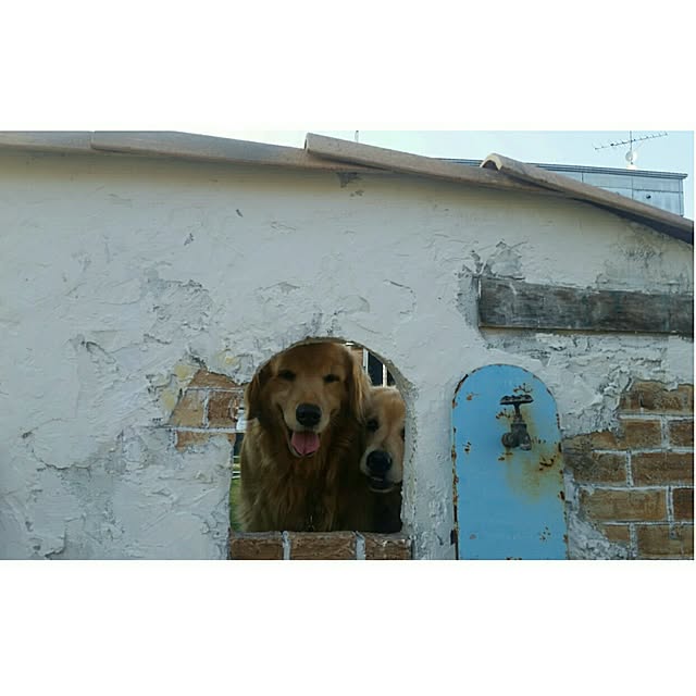 K.S.Rさんの実例写真