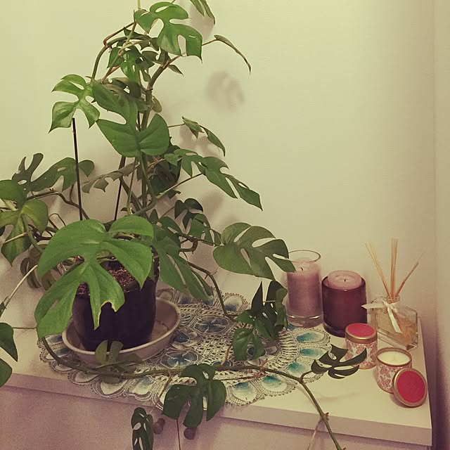 Takacoさんの実例写真