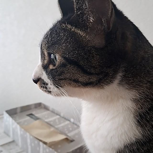 shinoさんの部屋