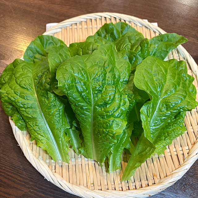 Kaoriさんの部屋