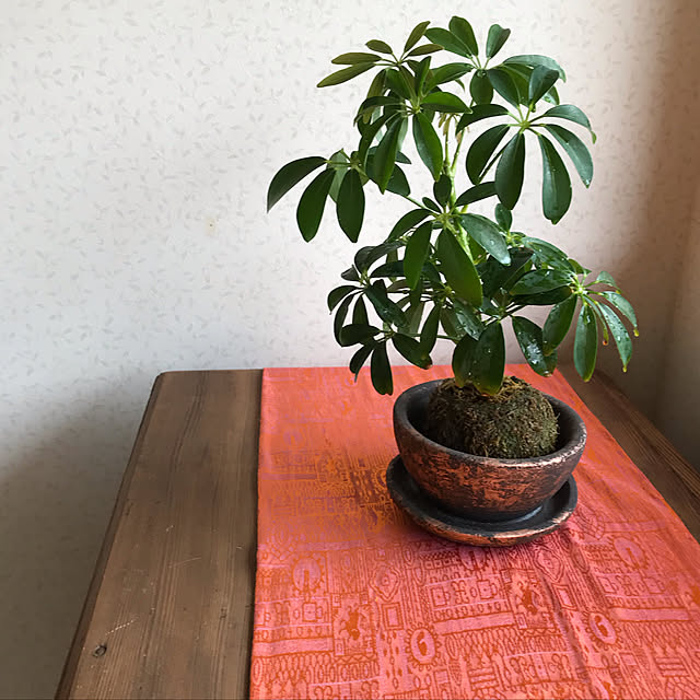 mikan161さんの実例写真