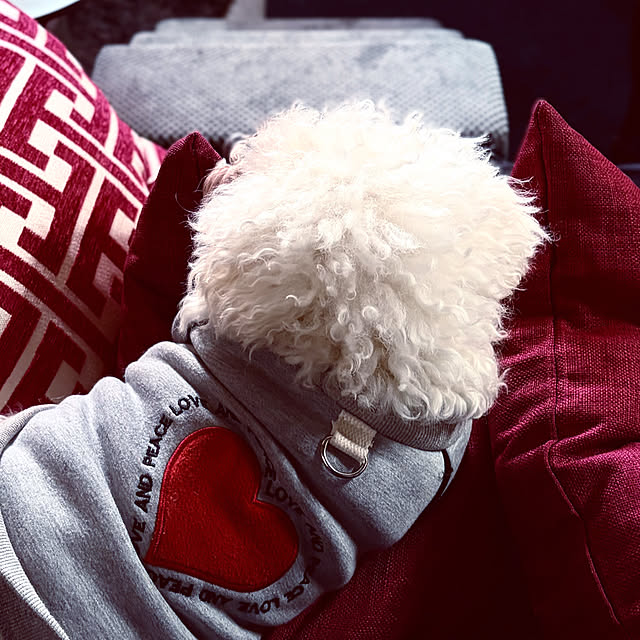 chacoさんの部屋