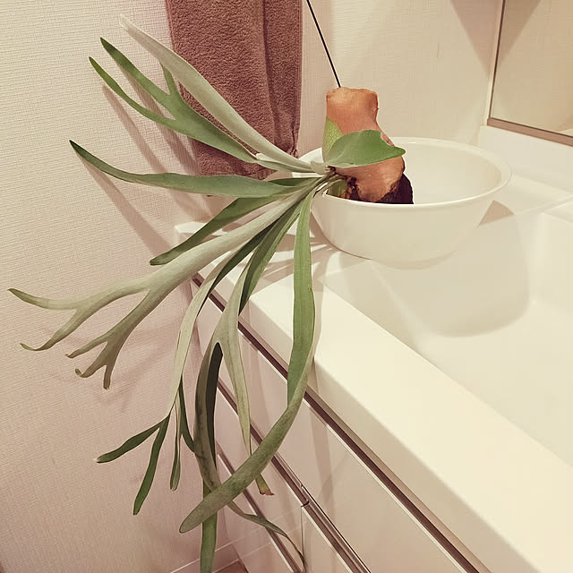 hanaminamiさんの実例写真