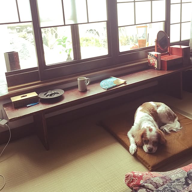 kari-kari-umeさんの実例写真