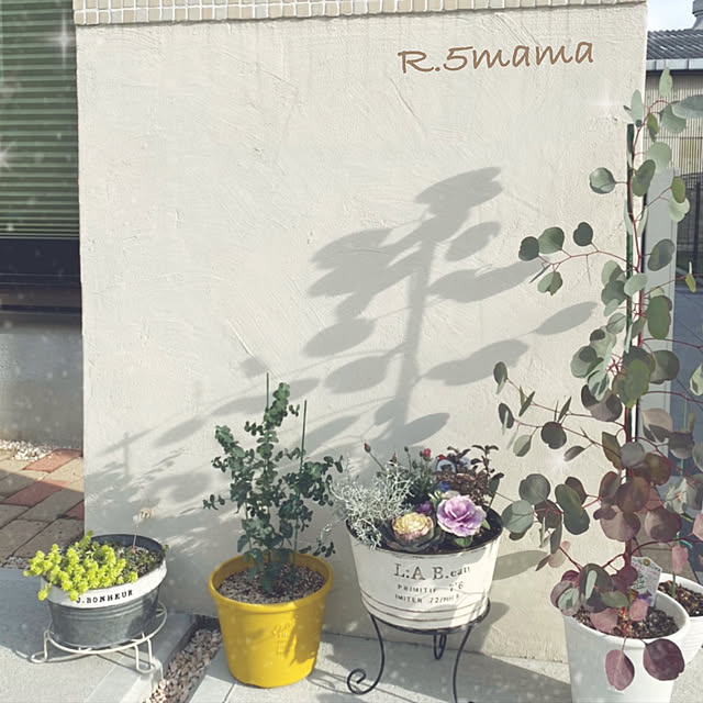 R.5.mamaさんの実例写真