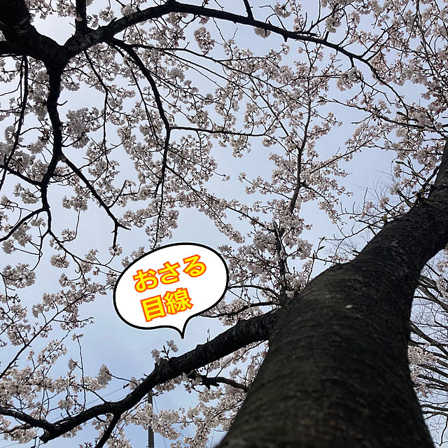 manduonmaさんの部屋