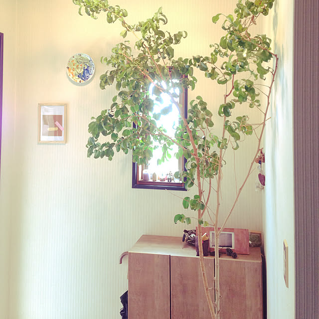 mamegohanさんの実例写真