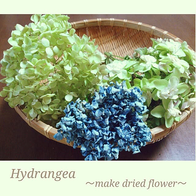 cedarrosemamさんの実例写真