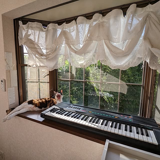 uchizukonyanさんの実例写真