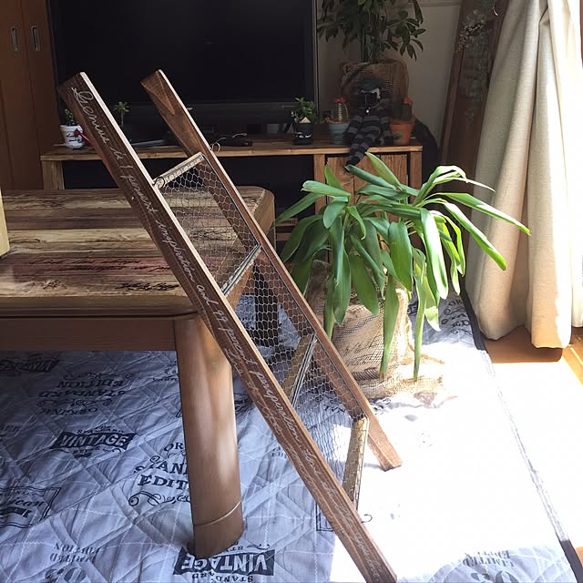 yokochinさんの実例写真