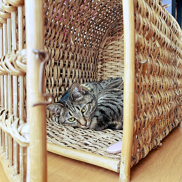 Mさんの実例写真