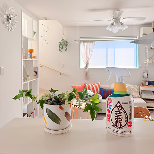 mri96さんの部屋