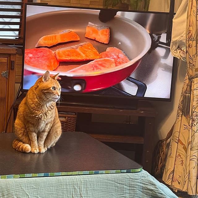 okyosan101さんの部屋