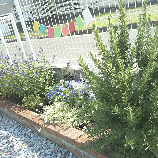 eriponさんの実例写真