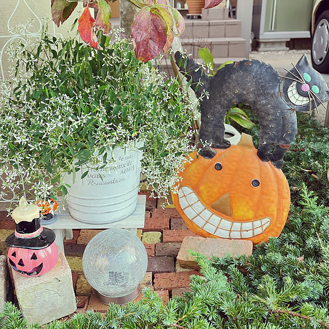 moolさんの部屋