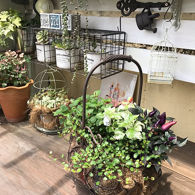 amiさんの実例写真