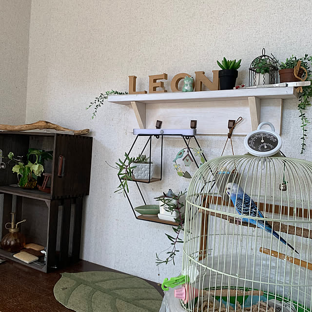 cyaroさんの部屋