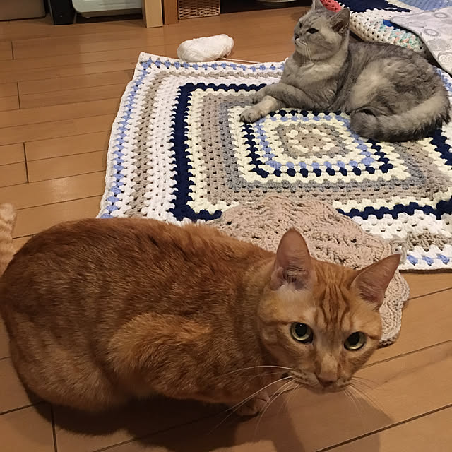 kou-kitiさんの実例写真