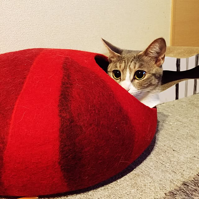 pepperさんの実例写真