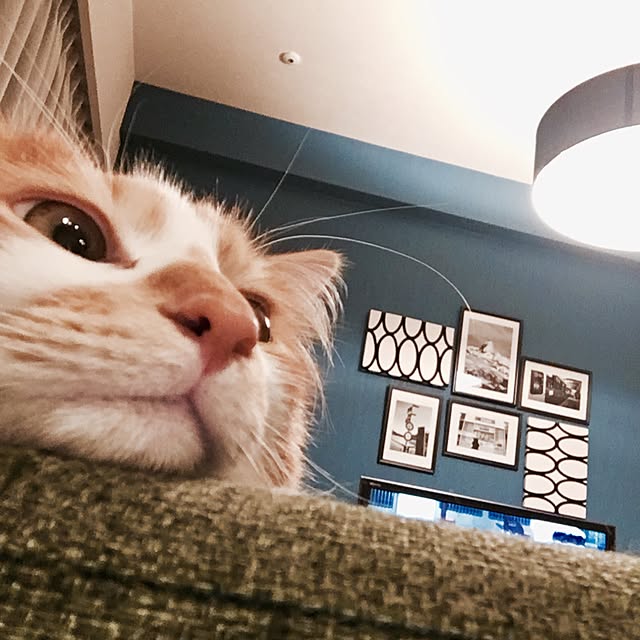 Reikoさんの実例写真