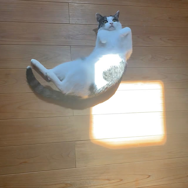 eioさんの実例写真