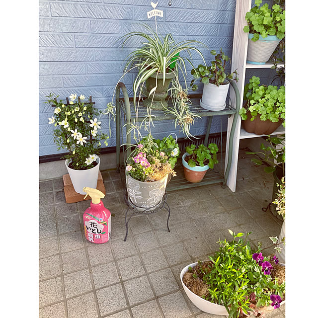 CoCo0617さんの部屋