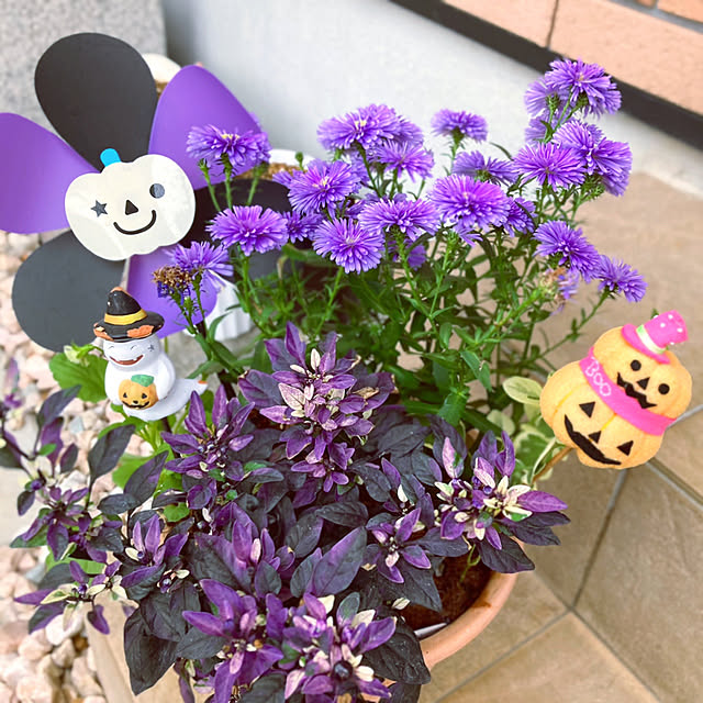 sunabaさんの実例写真