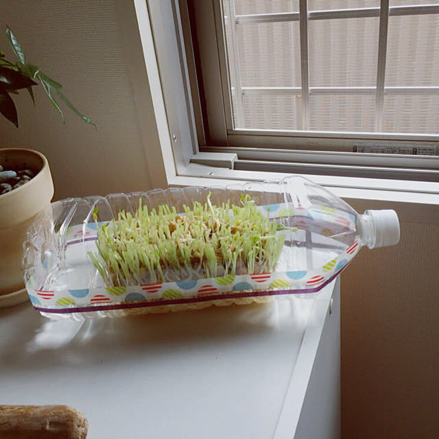 Manakoさんの実例写真