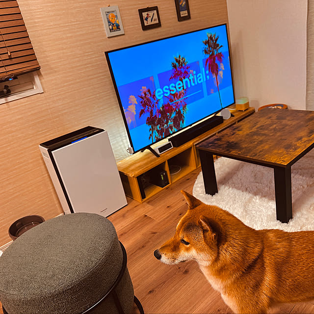 Ryoさんの実例写真