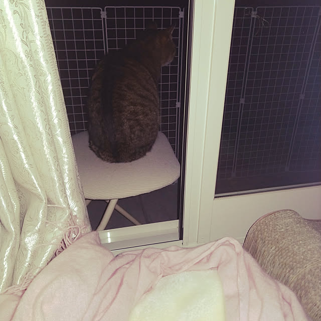 lilyさんの実例写真