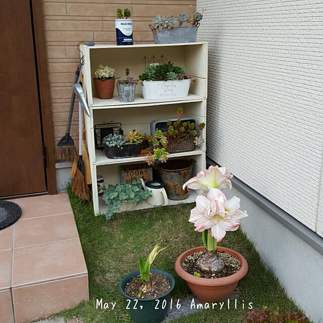 masarinn.さんの実例写真
